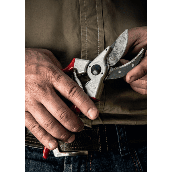 Sécateur bypass FELCO 2 classique droitier (coupe 25 mm) - Felco