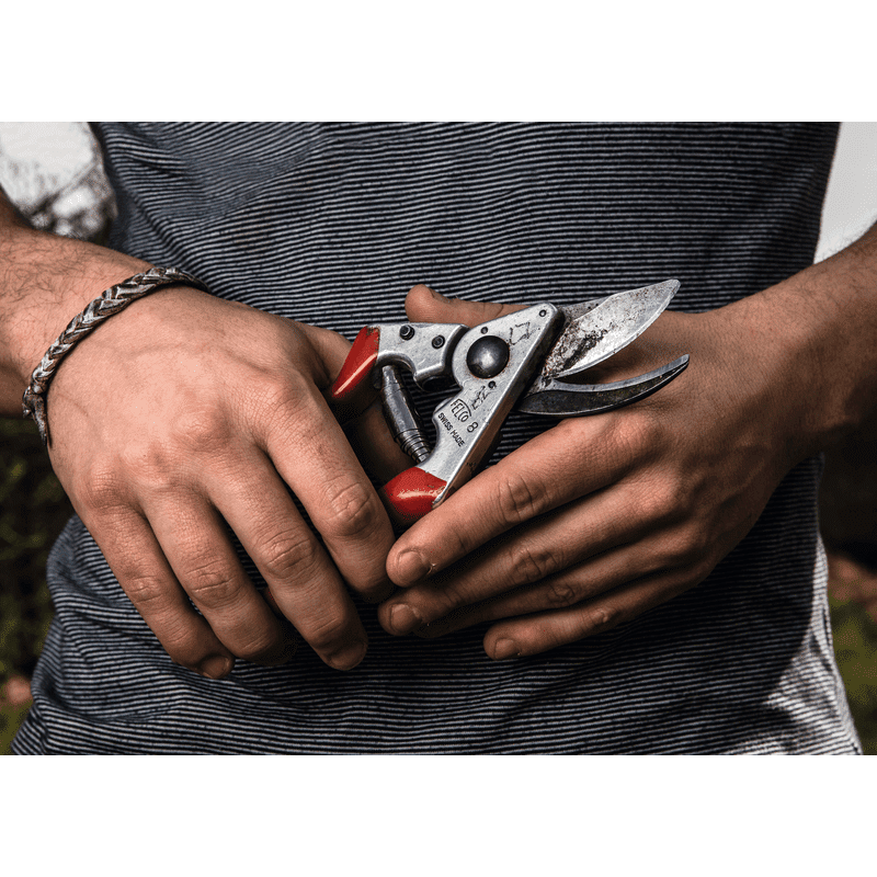 FELCO 8 - Sécateur à une main haute performance