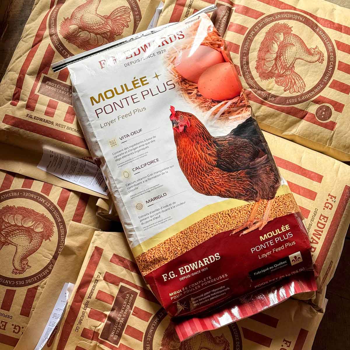 Le nouveau sac de moulée ponte plus pour poules pondeuses avec une palette de sacs de ponte