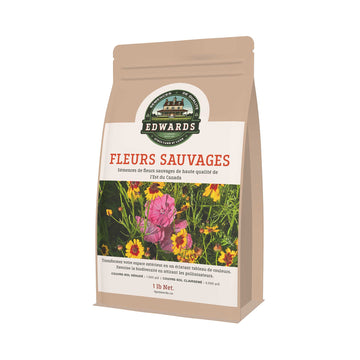 Mélange de semences de fleurs sauvages