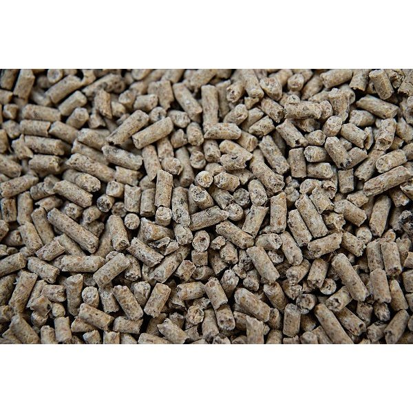 FOAL STARTER - Buckeye Nutrition