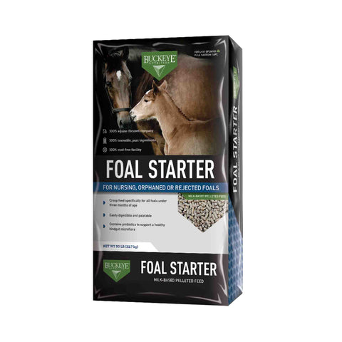 FOAL STARTER - Buckeye Nutrition