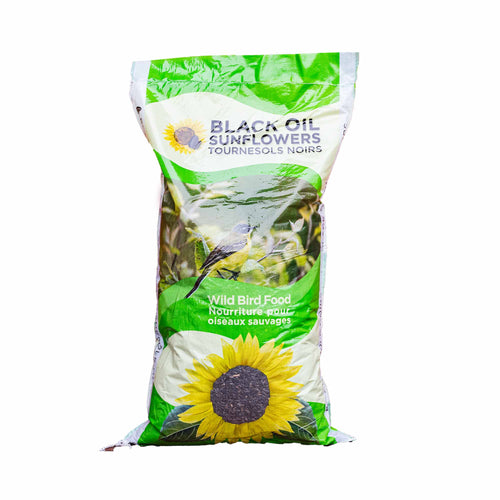 Graines de tournesol noires (18kg)