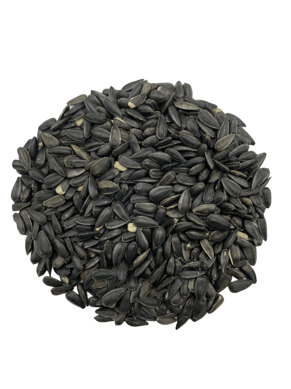 Graines de tournesol noires