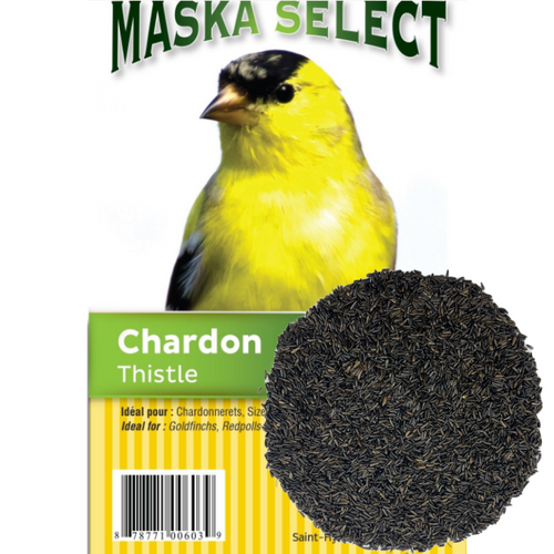 Graines de chardon (nyjer), 8 kg