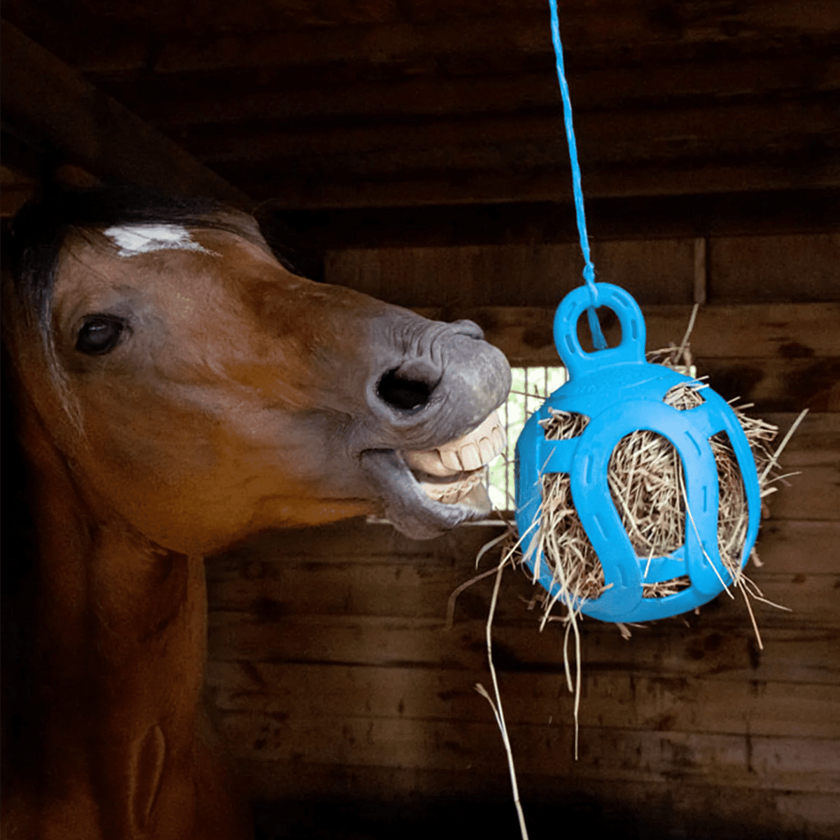 Jolly Hay Ball - Horsemen's Pride