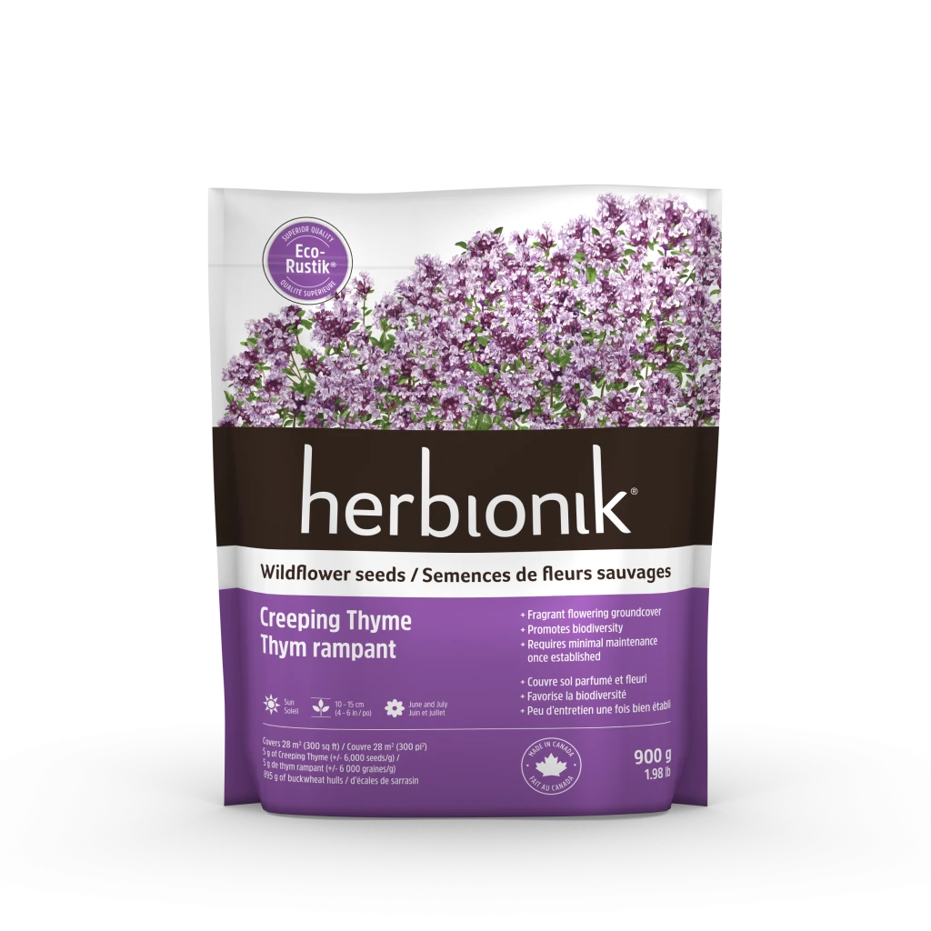 Herbionik® - Eco-Rustik Thym rampant nain