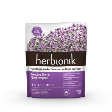 Herbionik® - Eco-Rustik Thym rampant nain