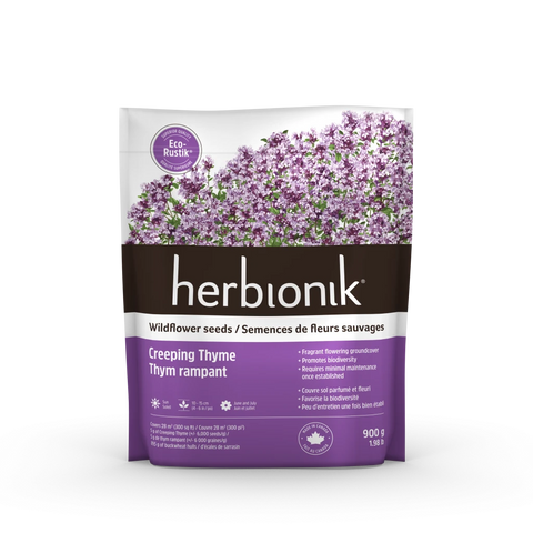Herbionik® - Eco-Rustik Dwarf Creeping Thyme