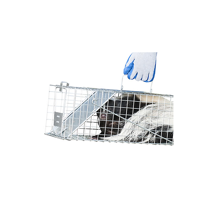 Piège vivant 1 porte Havahart 1078 lapin écureuil 61 cm - Havahart