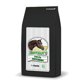 Supplément cheval Pro24 24 % de protéines 20 kg - Hoffman's