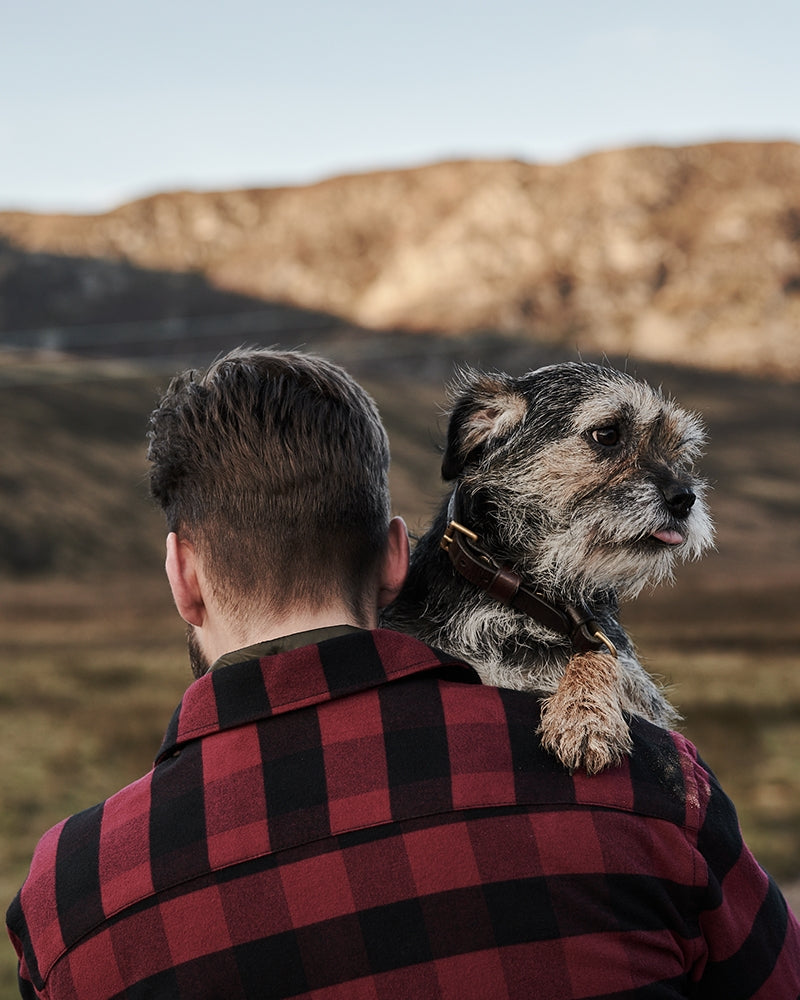 Hoggs of Fife - Tentsmuir Flannel Shirt