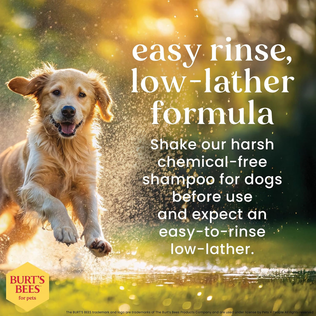 Lotion pattes et museau Romarin et Huile d'olive - Burt's Bees