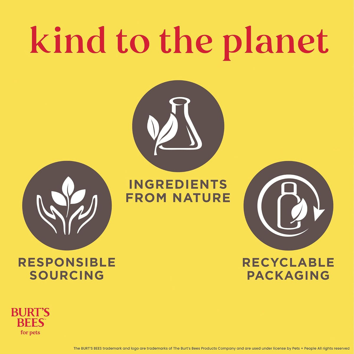 Lotion pattes et museau Romarin et Huile d'olive - Burt's Bees