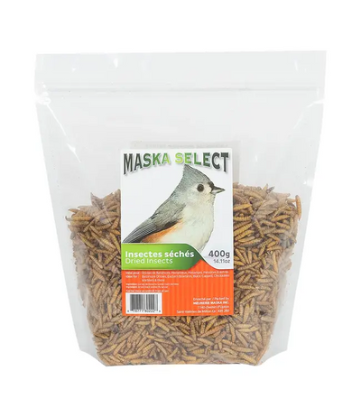 Insectes séchés pour volaille et oiseaux sauvages - Maska Select