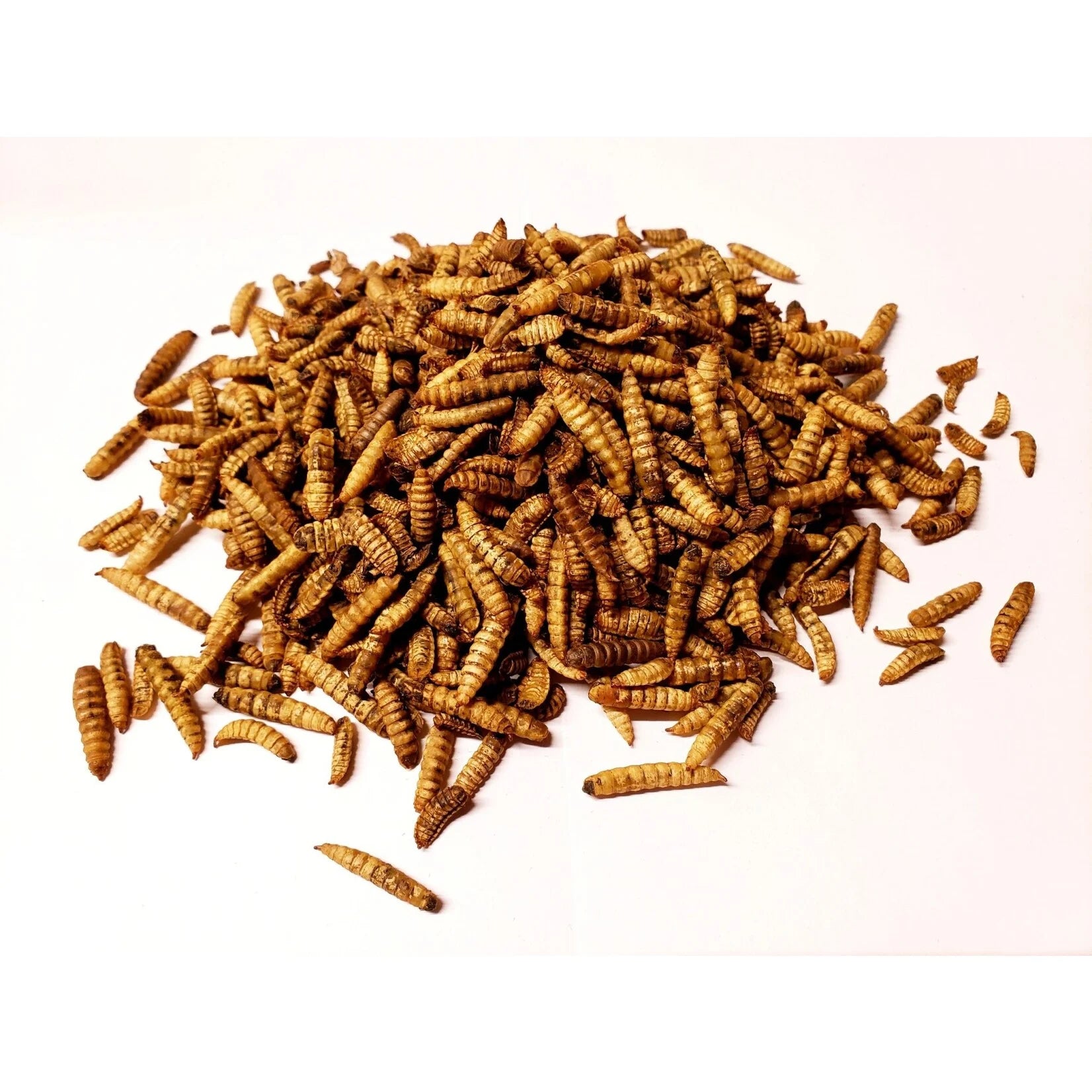 Maska Select - Dried Insects for Poultry and Wild Birds 