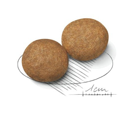 Croquettes chien adulte race moyenne 11 à 24 kg - Royal Canin