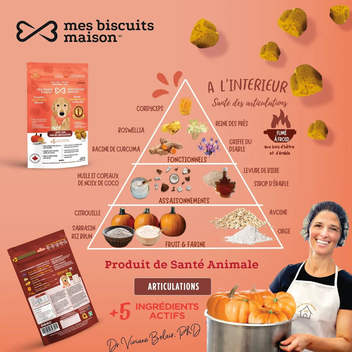 Supplément articulations pour chien à la citrouille - My Home Bites