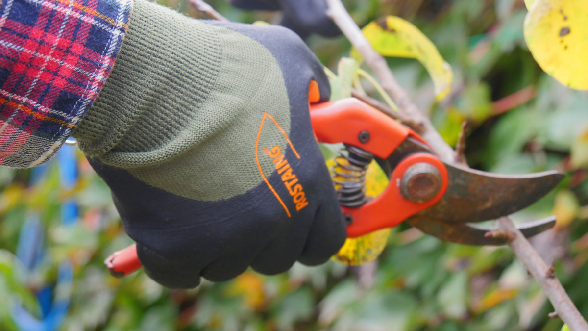 Rostaing - End of Season Work Glove, 0°C to 10°C, MIDSEASON 