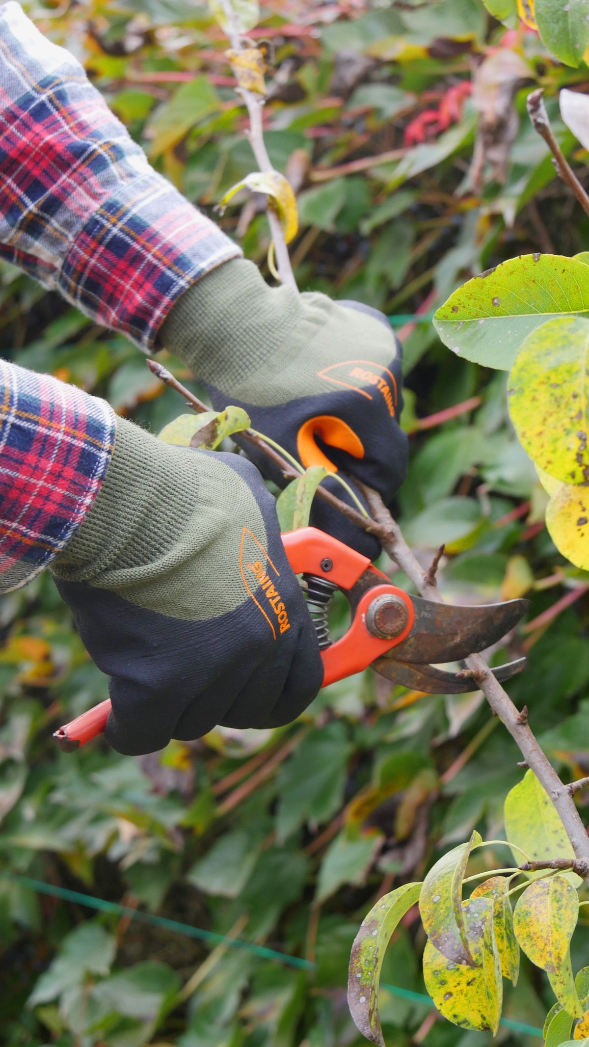 Rostaing - End of Season Work Glove, 0°C to 10°C, MIDSEASON 