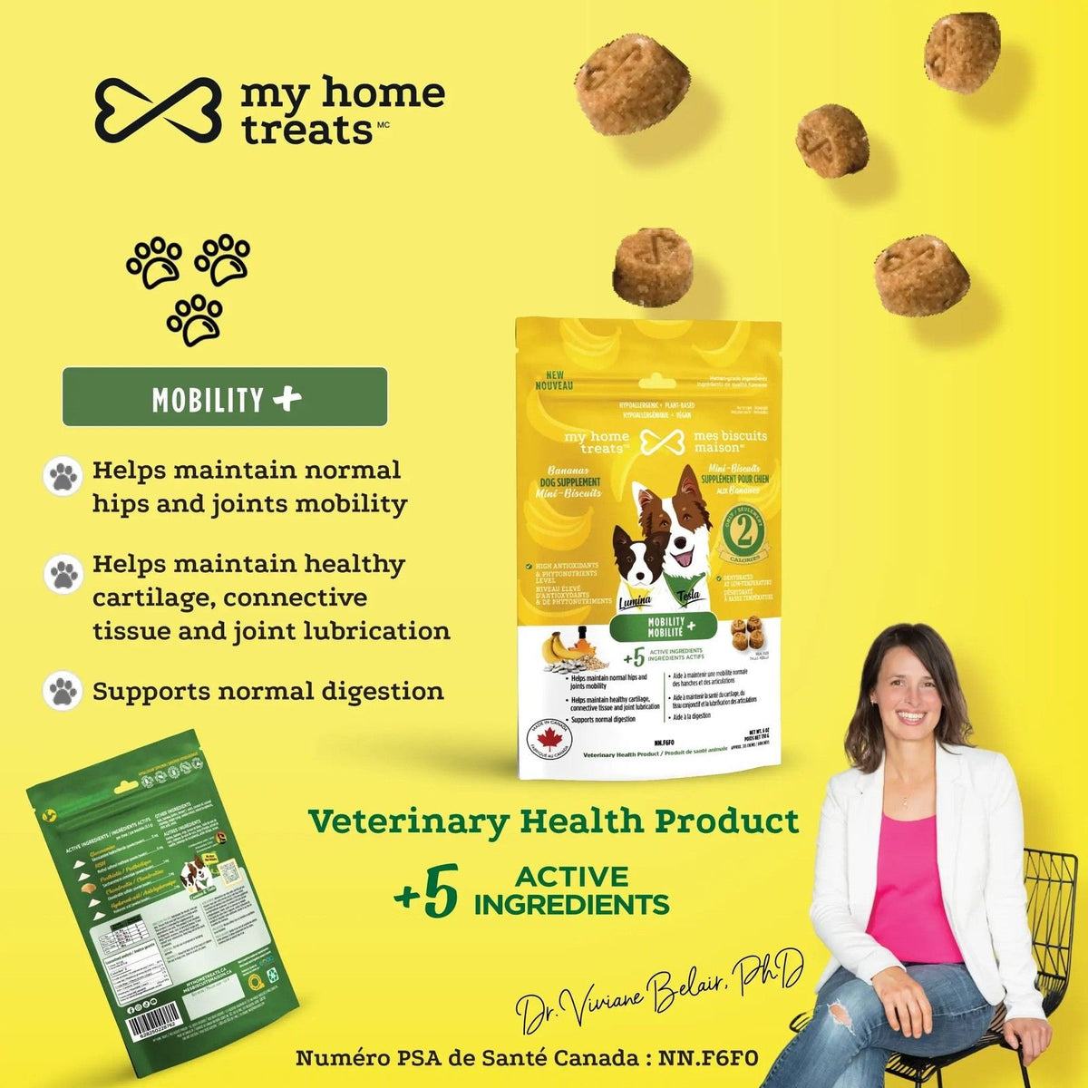 Banana-flavored dog mobility supplement - My Home Bites 