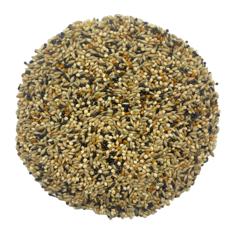 Aliment pour oiseaux, mélange pour canaris - Maska Select