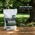 SHADE LAWN — Shade and partial-shade grass seed