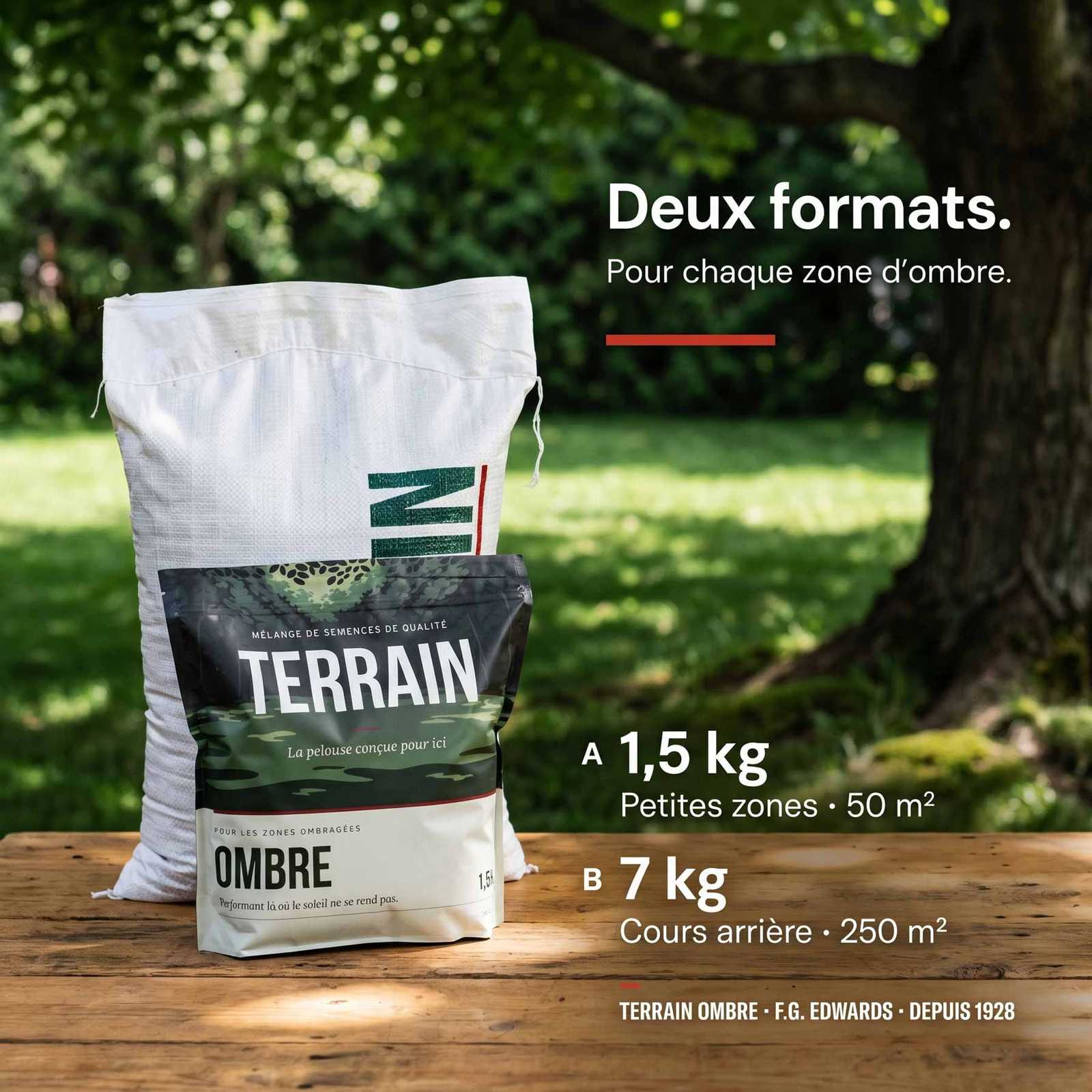 TERRAIN OMBRE — Semence à gazon ombre et mi-ombre