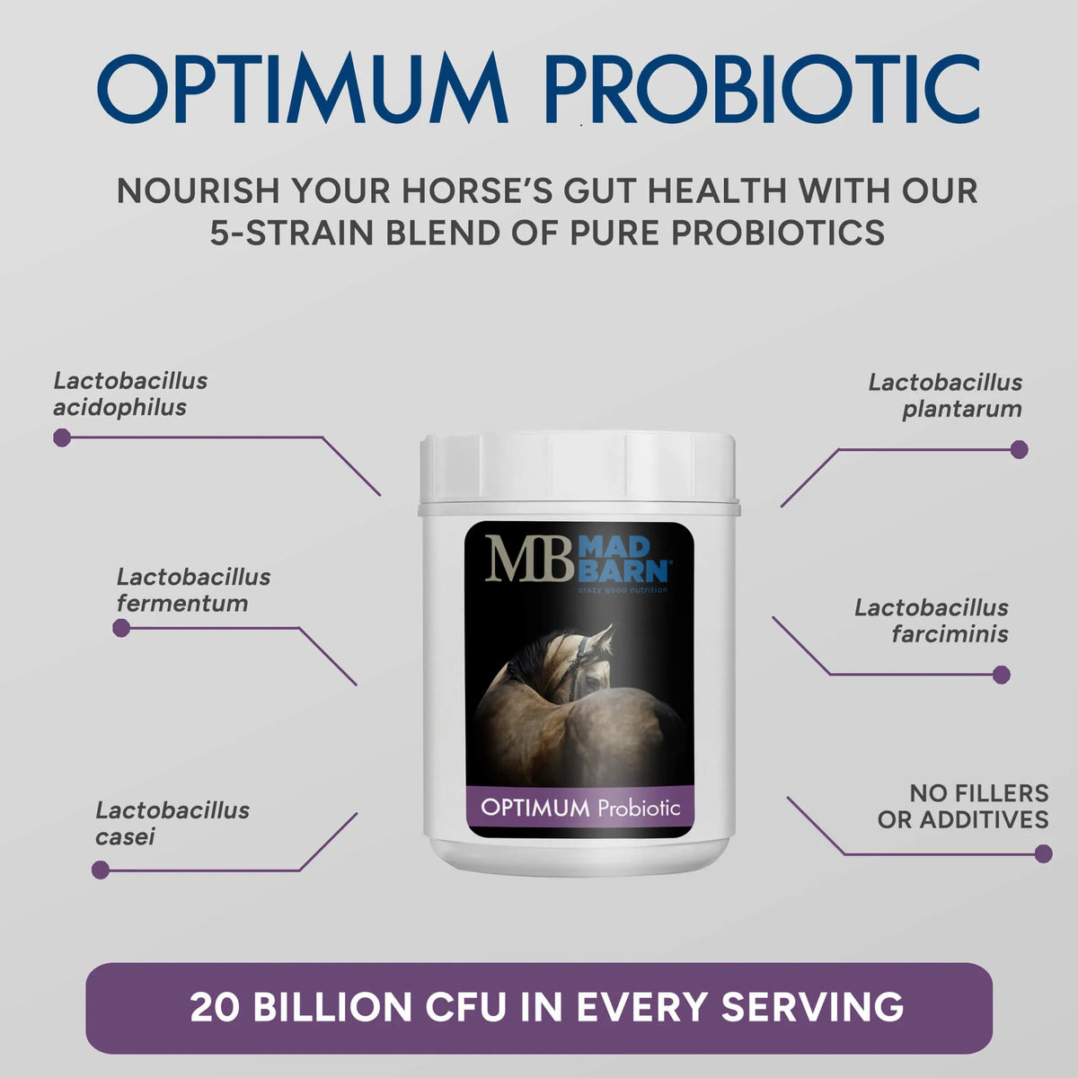 Optimum Probiotic - Mad Barn