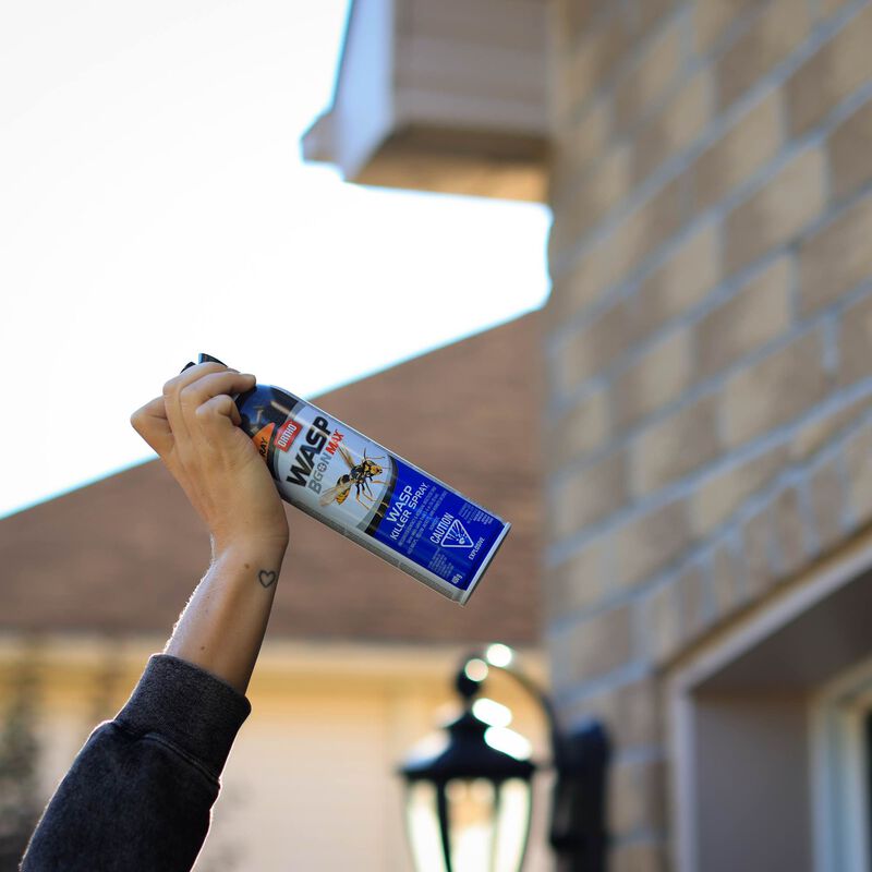 Wasp B Gon Max® wasp spray - Ortho®