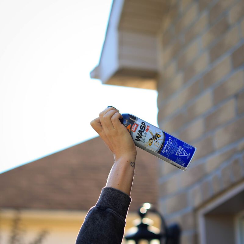 Wasp B Gon Max® wasp spray - Ortho®