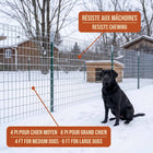 2"x4" 14ga Hot-Dipped Galvanized Welded Wire Mesh - Sentinel
