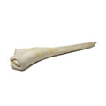Open Range - Full Length Bull Tail 