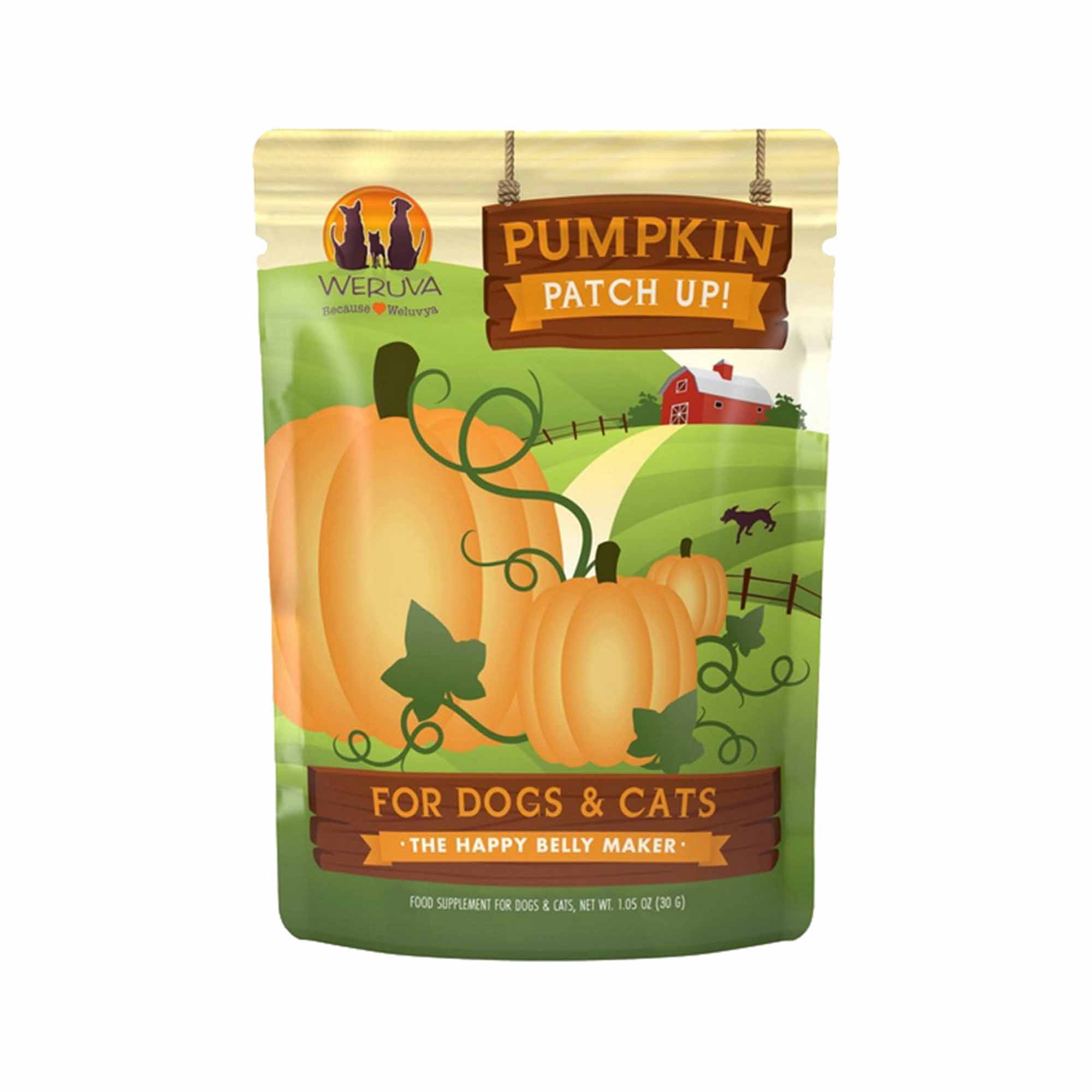 Pumpkin Patch Up Dog Treat 1.05Oz