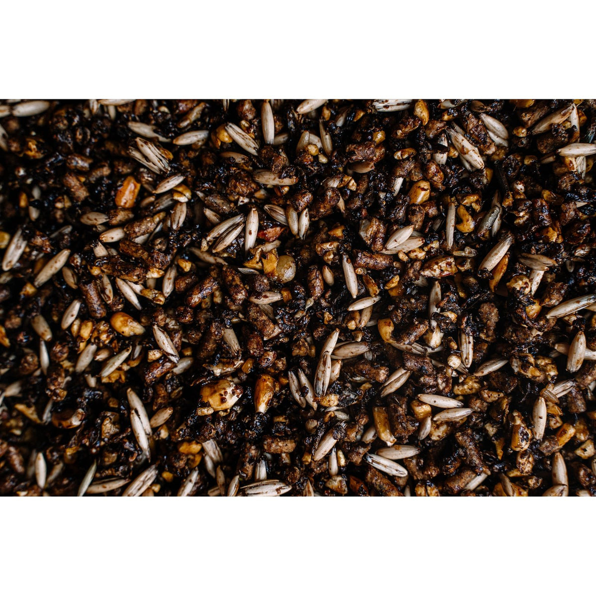 Buckeye Nutrition - RACE 'N WIN™ 