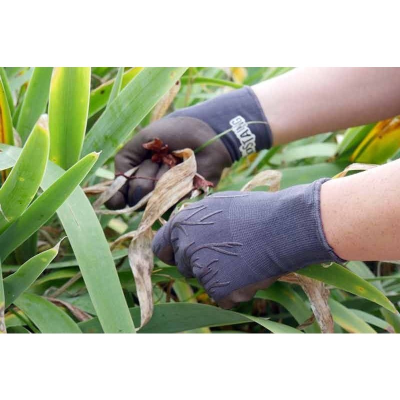 Rostaing - ROOTS Stylish Gardening Glove