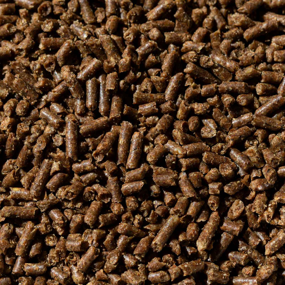 SAFE 'N EASY™ PERFORMANCE - Buckeye Nutrition