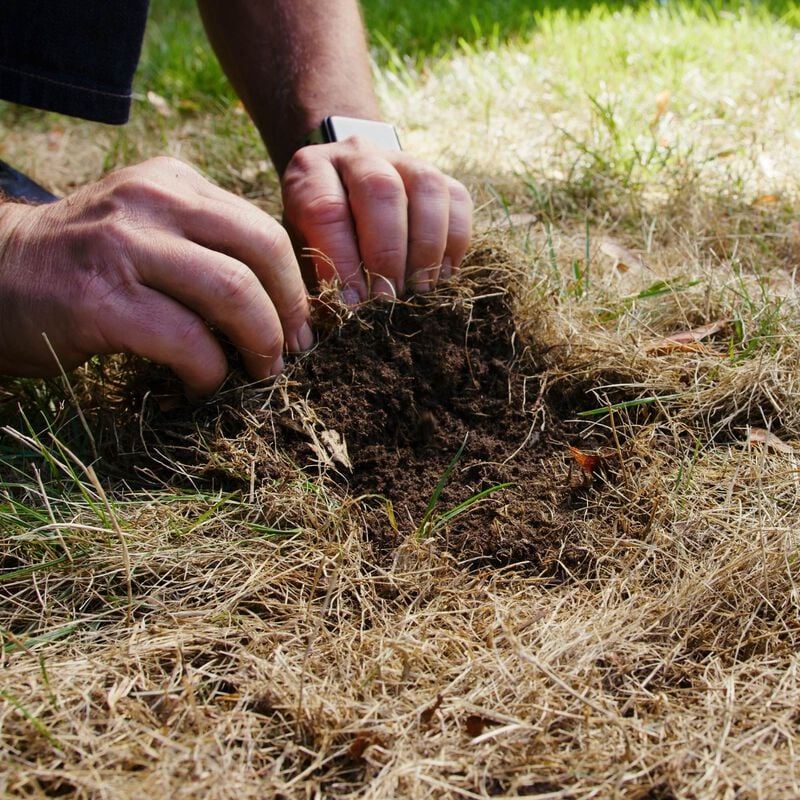 Scotts® Grub B Gon® MAX Destructeur de larves