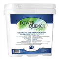 Strictly Equine - Electrolytes for horses, Power Quench Apple 