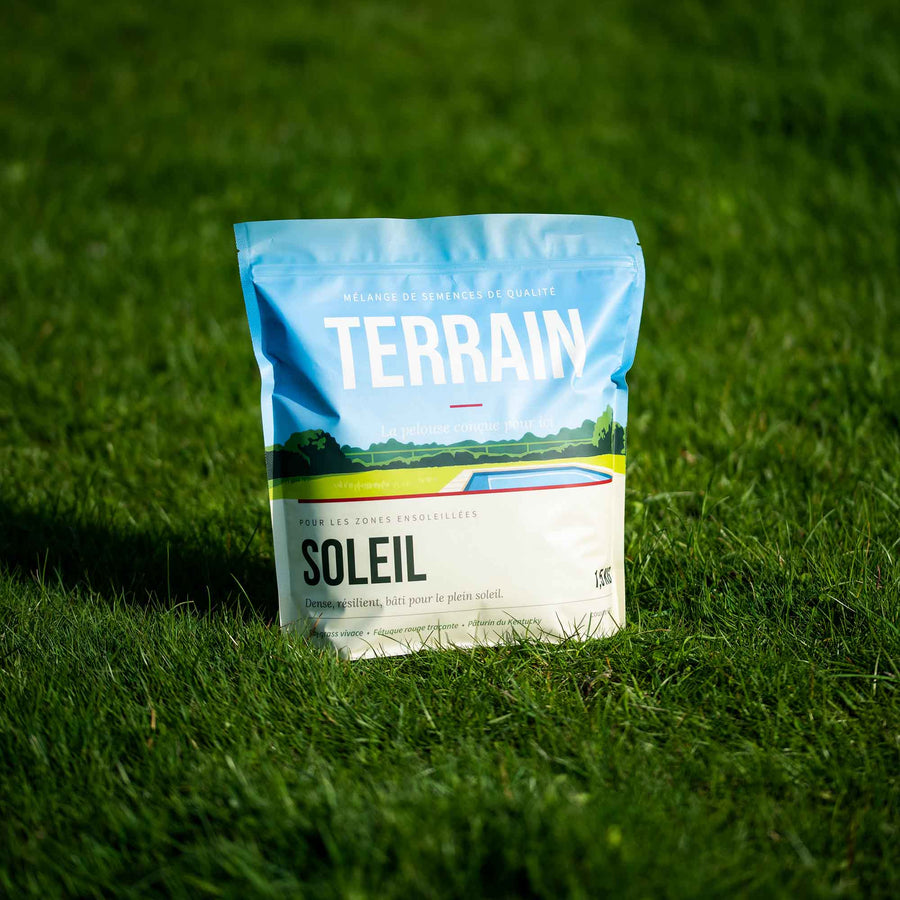 TERRAIN SOLEIL — Semence à gazon ensoleillement