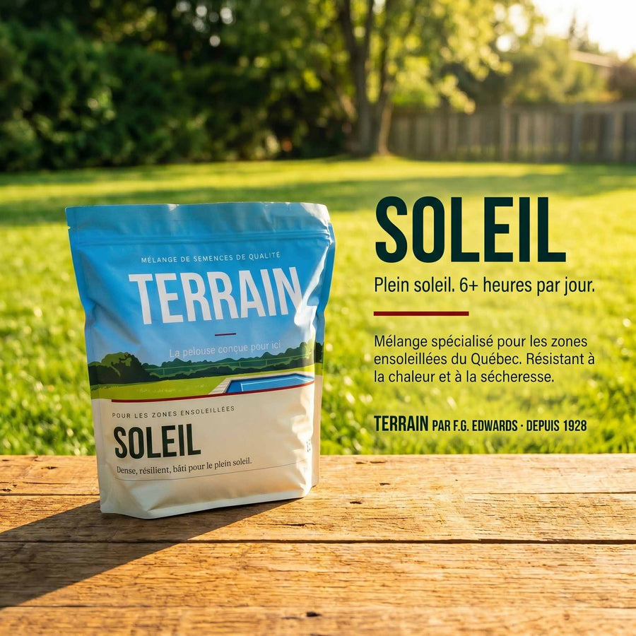 TERRAIN SOLEIL — Semence à gazon ensoleillement