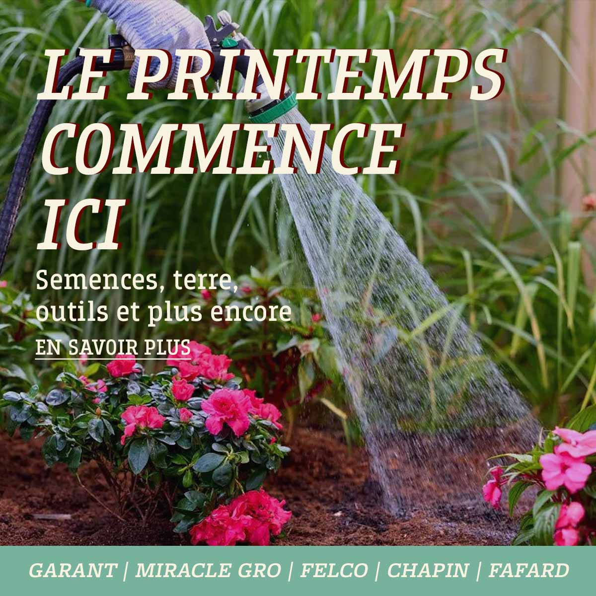 le printemps commence ici chez FG Edwards avec semences, terre, outils, et plus encore