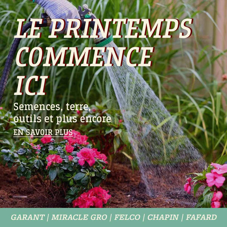 le printemps commence ici chez FG Edwards avec semences, terre, outils, et plus encore