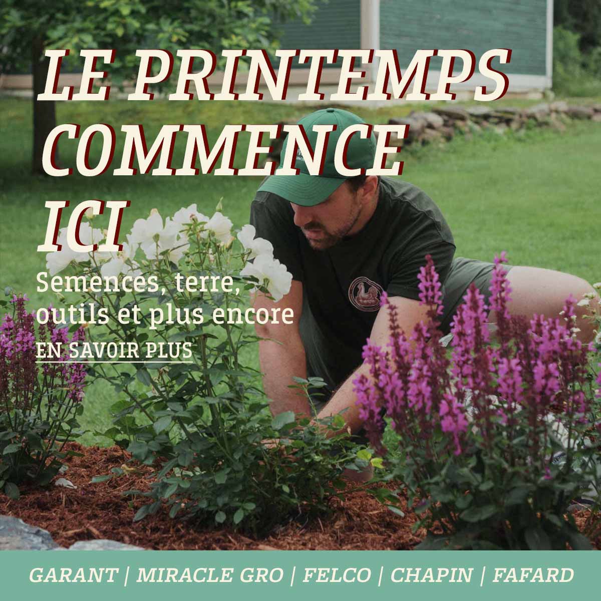 Le printemps commence ici chez FG Edwards avec semences, terre, outils, et plus encore