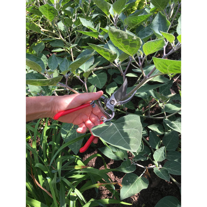 ClassicCUT® Cross-Blade Pruner, 19 mm (3/4 in) Cutting Capacity - Corona