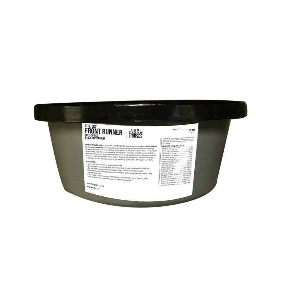 Blocks To Rite Masterfeeds - Rite-Lix™ Mineral Block for Horses, 27.2kg | FG EDWARDS