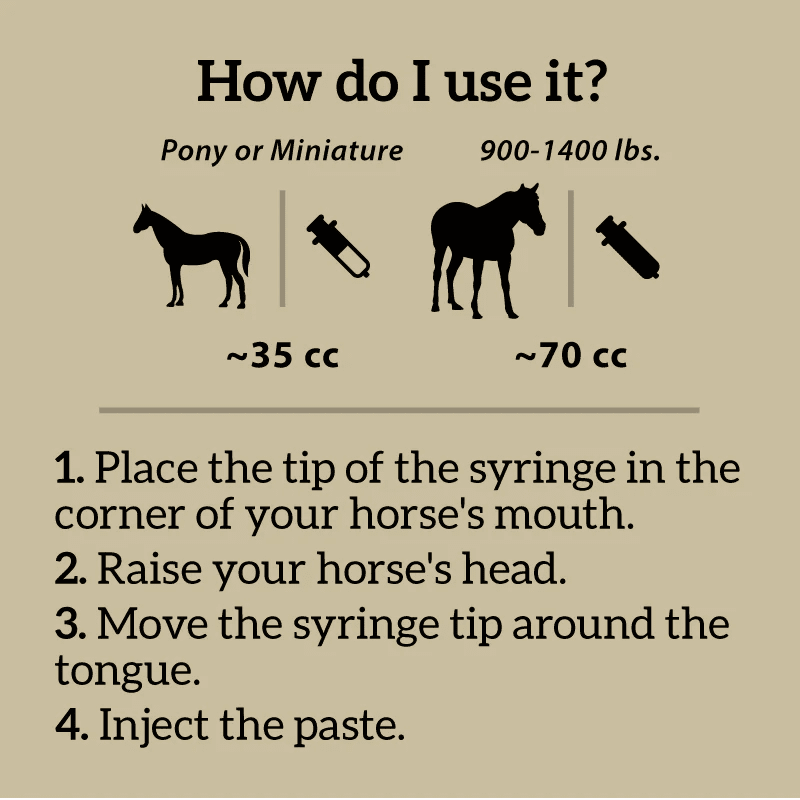 Redmond Daily Gold® Syringe - Paste for Digestive Stress Relief 