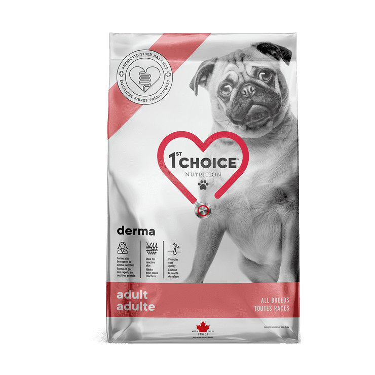 Croquettes chien DERMA saumon sans grains peau pelage - 1st Choice