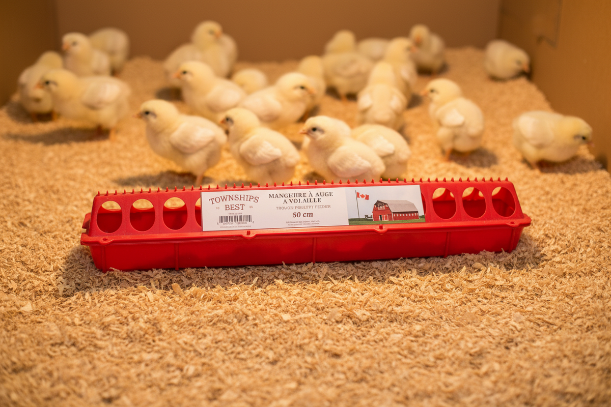 Plastic Poultry Trough Feeder - Townships Best