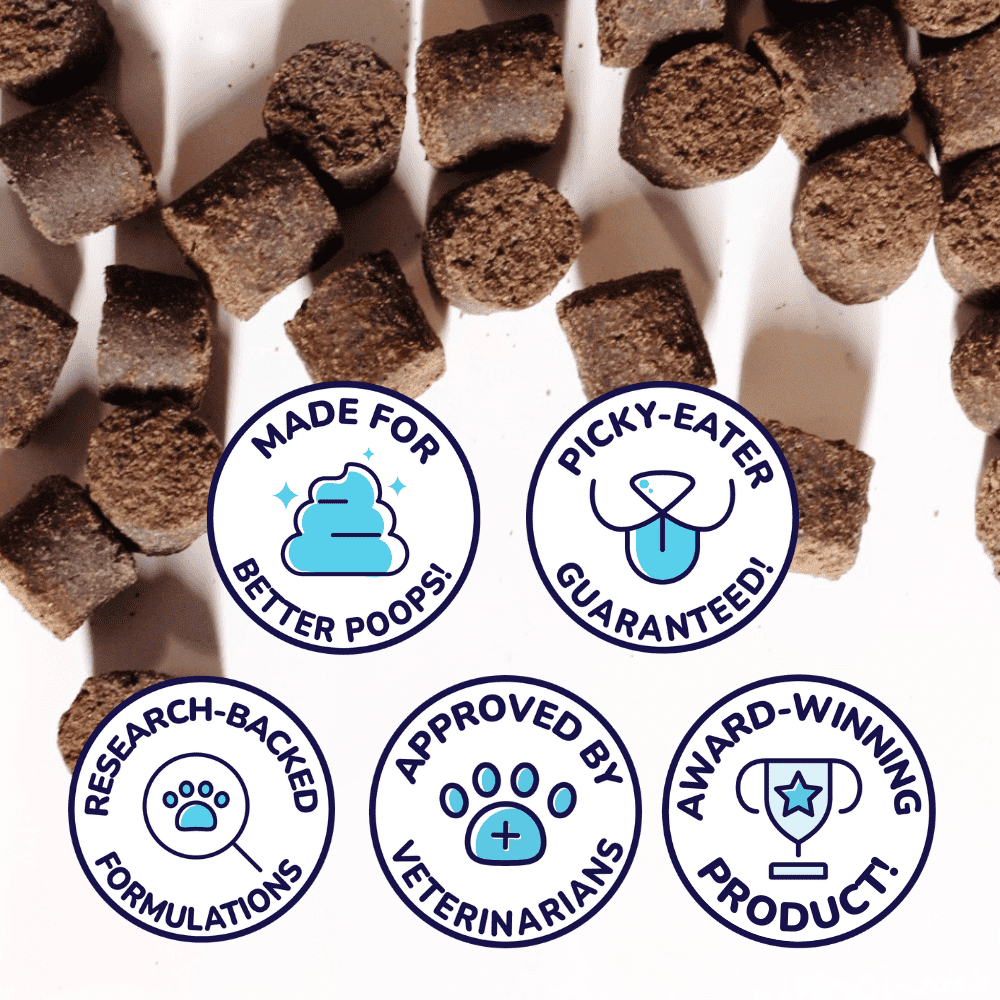 Le « Gut Booster » (Dinde) - Healthybud